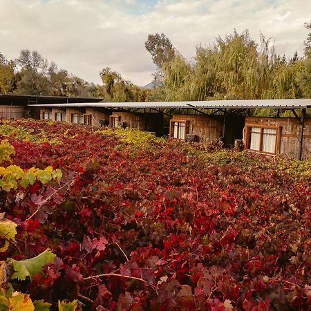 Cava Colchagua Hotel Boutique Санта-Крус Экстерьер фото