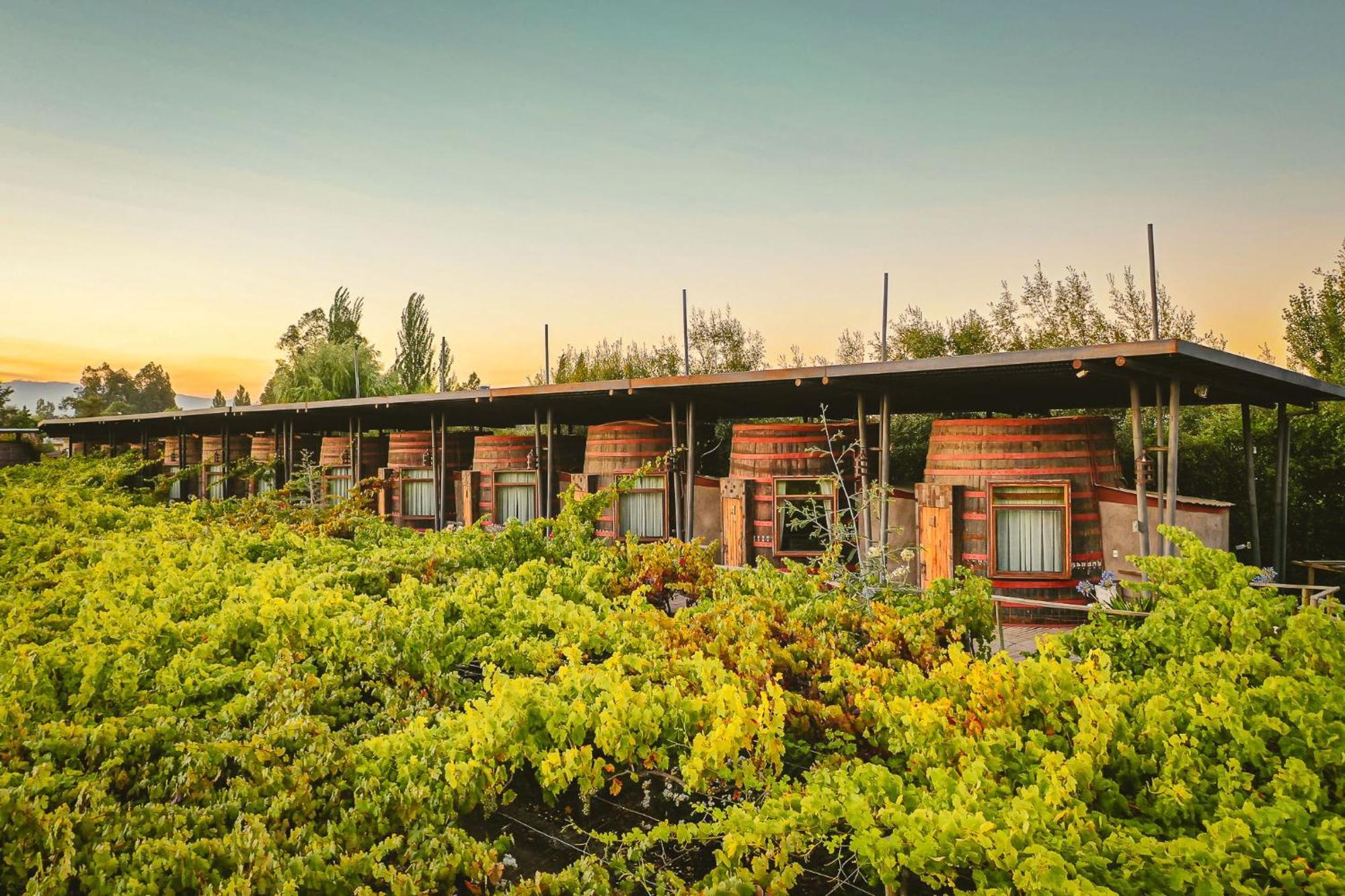 Cava Colchagua Hotel Boutique Санта-Крус Экстерьер фото