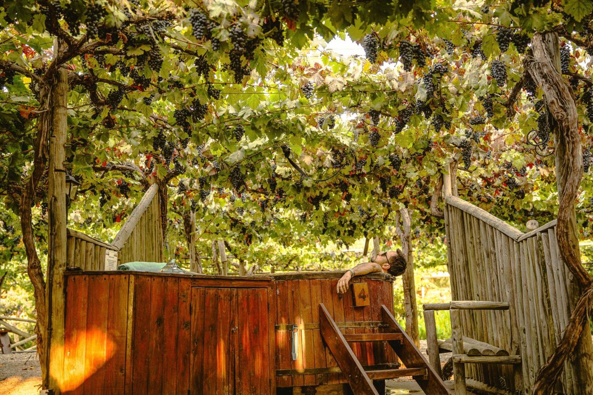 Cava Colchagua Hotel Boutique Санта-Крус Экстерьер фото