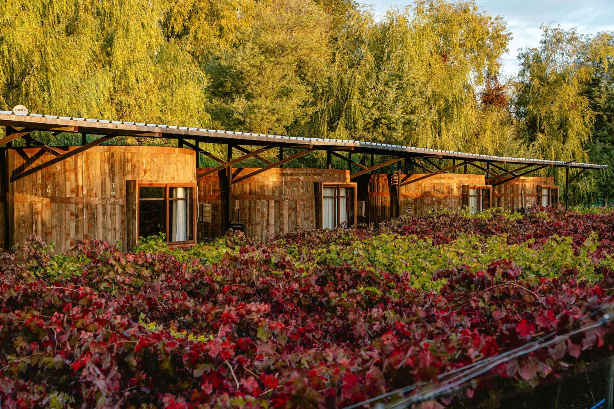 Cava Colchagua Hotel Boutique Санта-Крус Экстерьер фото