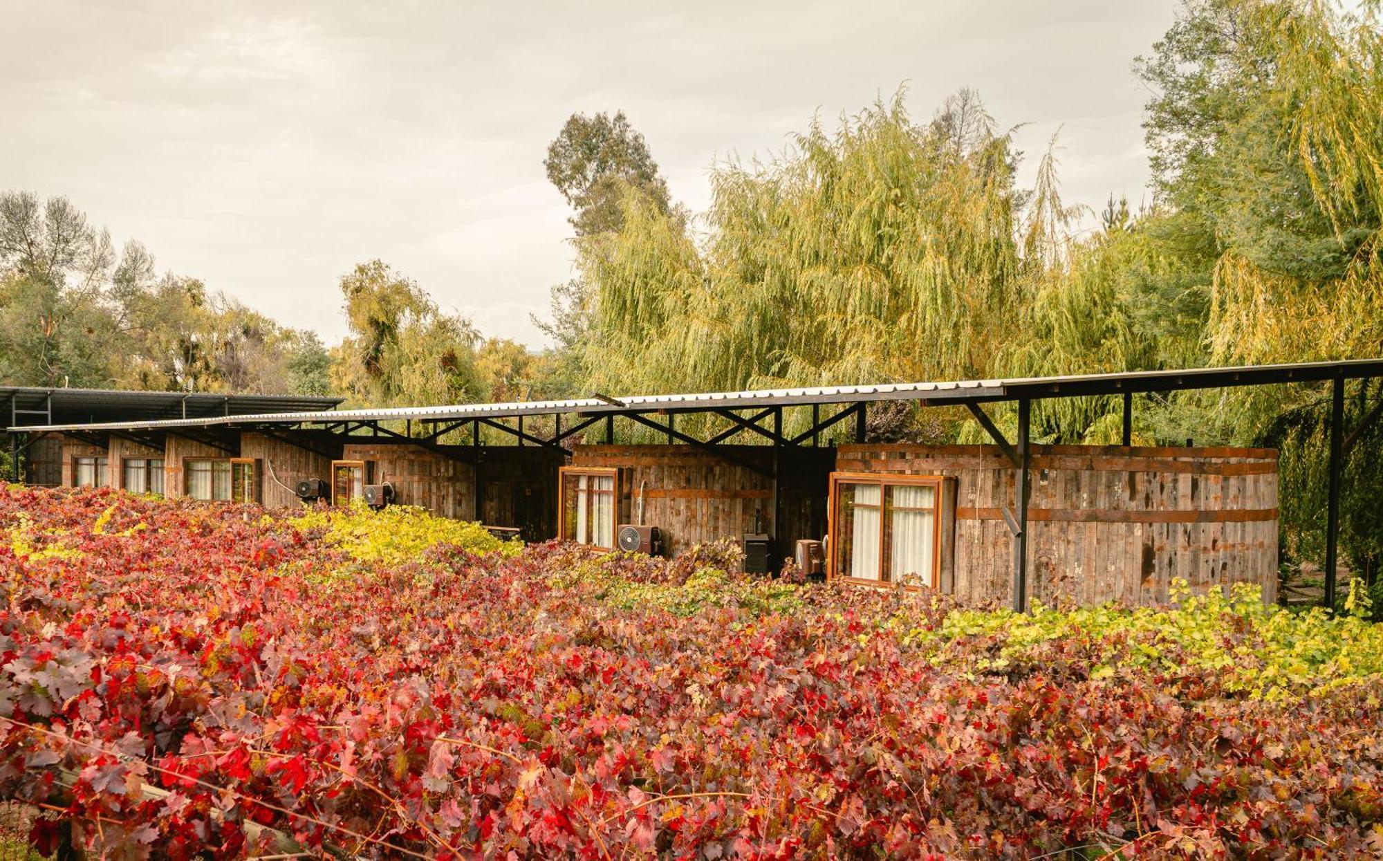 Cava Colchagua Hotel Boutique Санта-Крус Экстерьер фото