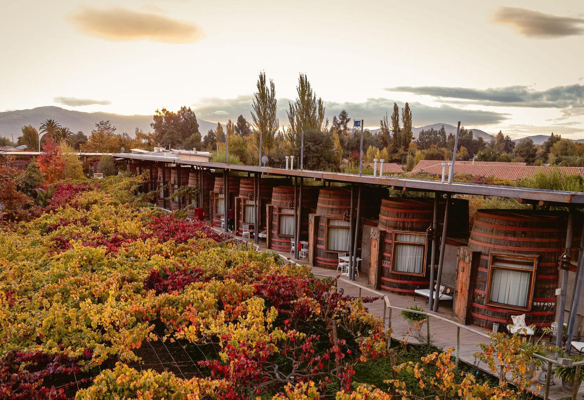 Cava Colchagua Hotel Boutique Санта-Крус Экстерьер фото
