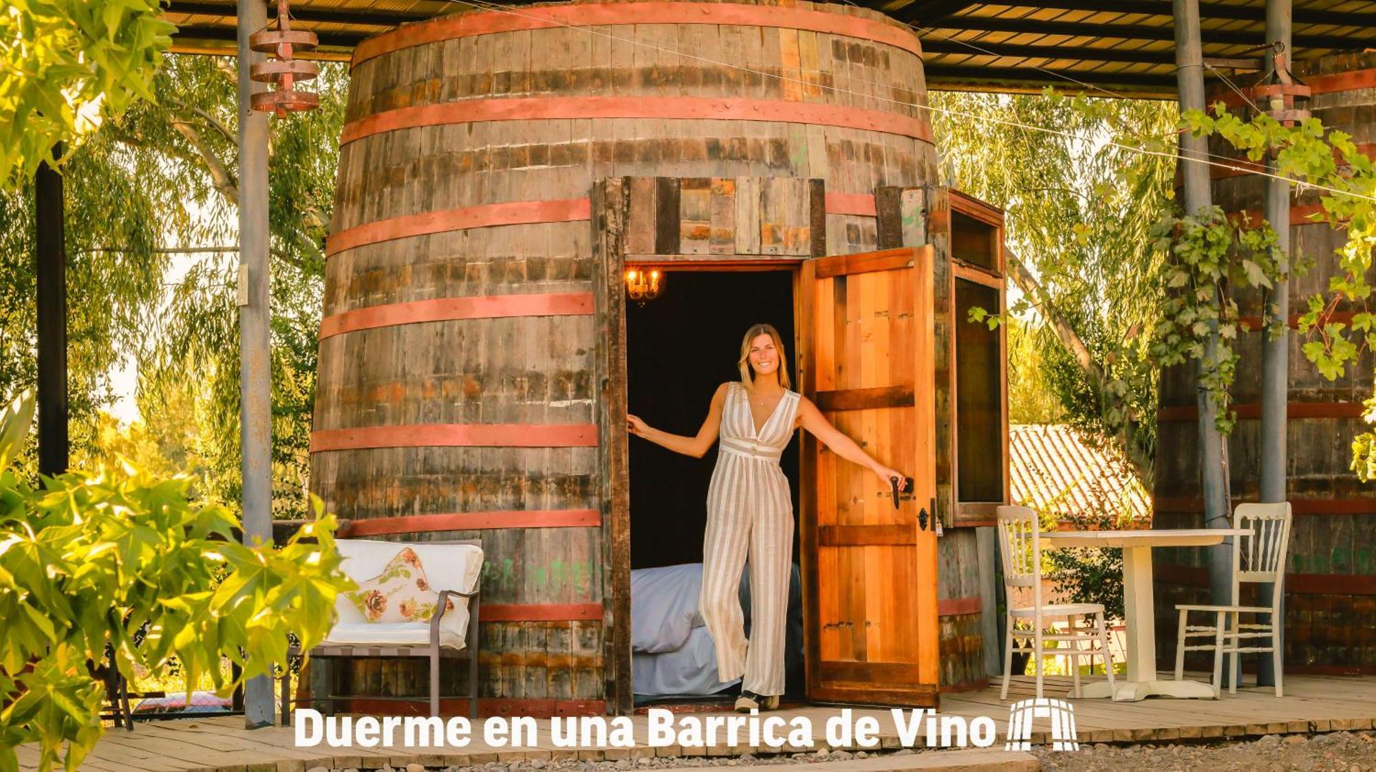 Cava Colchagua Hotel Boutique Санта-Крус Экстерьер фото