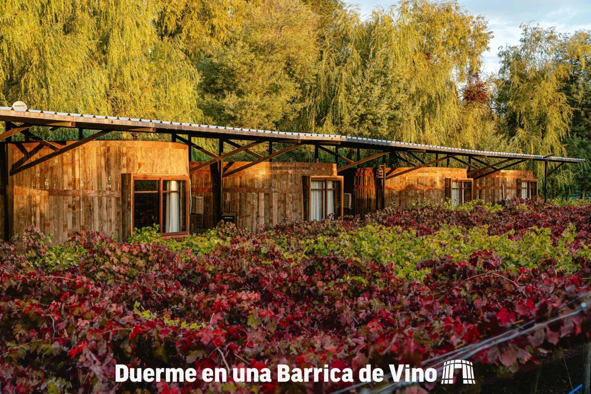 Cava Colchagua Hotel Boutique Санта-Крус Экстерьер фото
